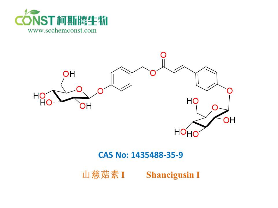 公司新闻图片9